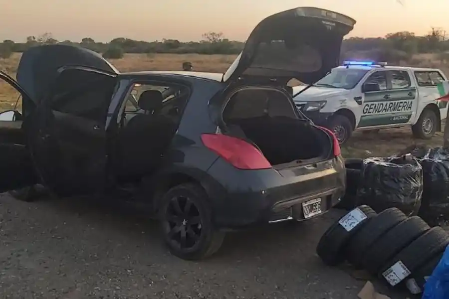 FRENO. Gendarmes secuestran los neumáticos que trasladan en auto.