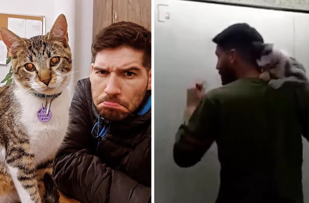 Profesor da clases con un gato en los hombros