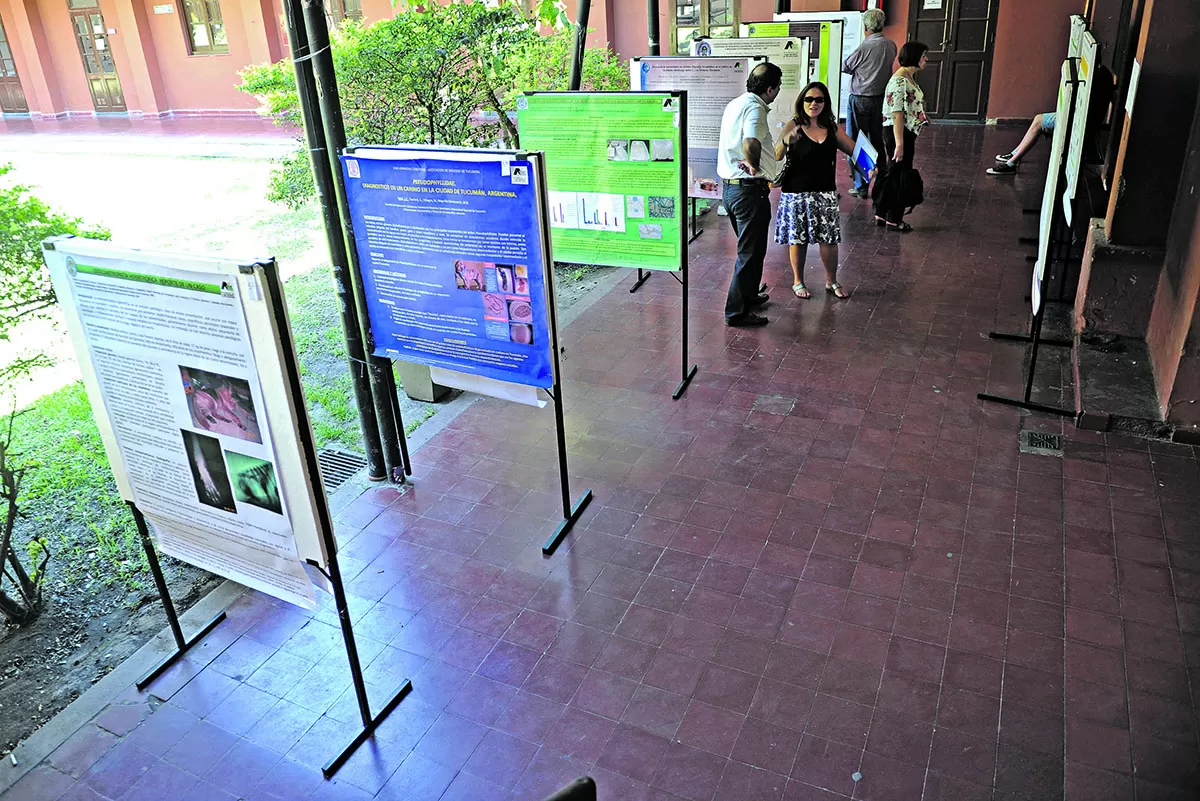 PERTENENCIA. Cada año, unos 600 nuevos alumnos de Veterinaria recorren las galerías de la Facultad.