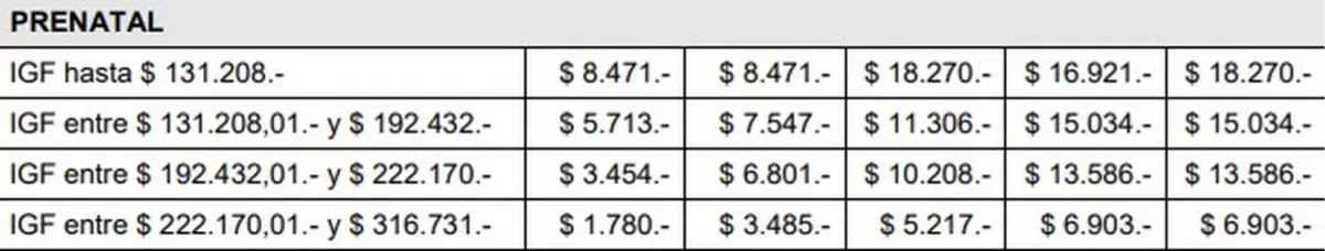 Anses Prenatal: cuál es el dato clave que tenés que saber para cobrar hasta $18.000
