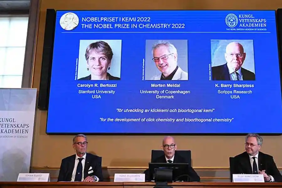 Premio Nobel 2022: ¿Qué es la química click para crear moléculas?