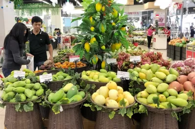Exportaciones: apuntar hacia el sudeste asiático