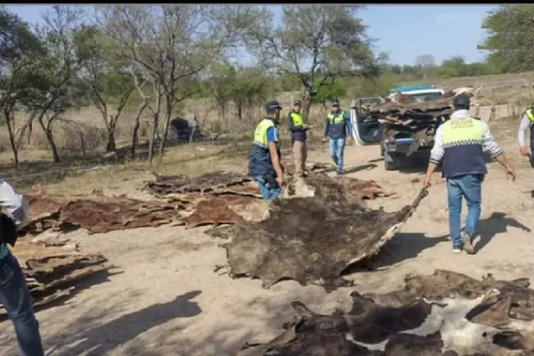 Abigeato en Tucumán: encontraron 15 kilos de carne recién faenada escondida en un ropero