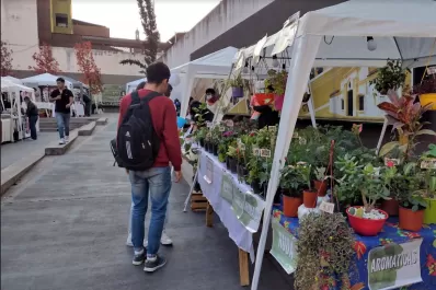 Feria “Arte-Sano”, en la plaza Temática