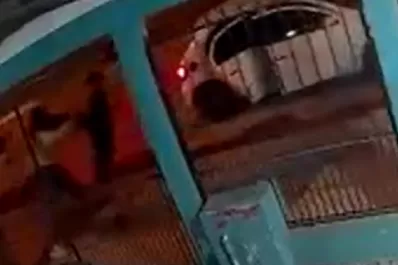 Amenazó con una pistola a una mujer y a su hija para robar un celular