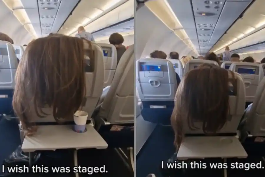 Pasajera desplegó su caballera en el asiento del avión