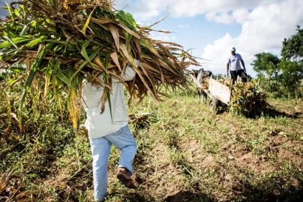 Elecciones en Brasil: nubes en el horizonte para los productores de azúcar y etanol
