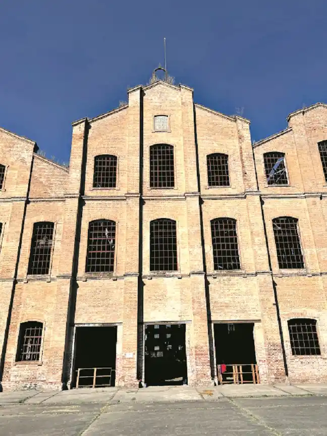 Construcción: propuestas de negocios para que elijás lo que más te convenga