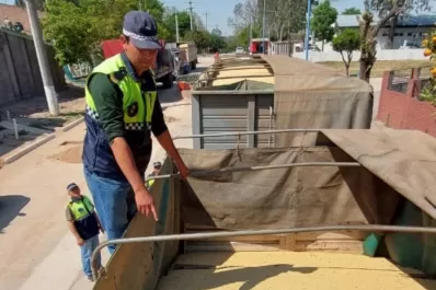 Transporte ilegal de soja: incautaron un camión con 60 toneladas