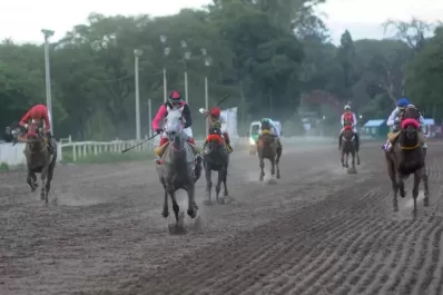 Turf: seis potrillos, por la gloria en la “Polla”