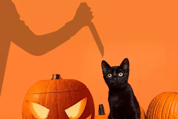 Halloween: ¿existen los sacrificios y rituales con animales en Tucumán?