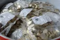 El Banco Central quiso subastar casi 1.000 toneladas de monedas por el valor del metal, pero dio marcha atrás