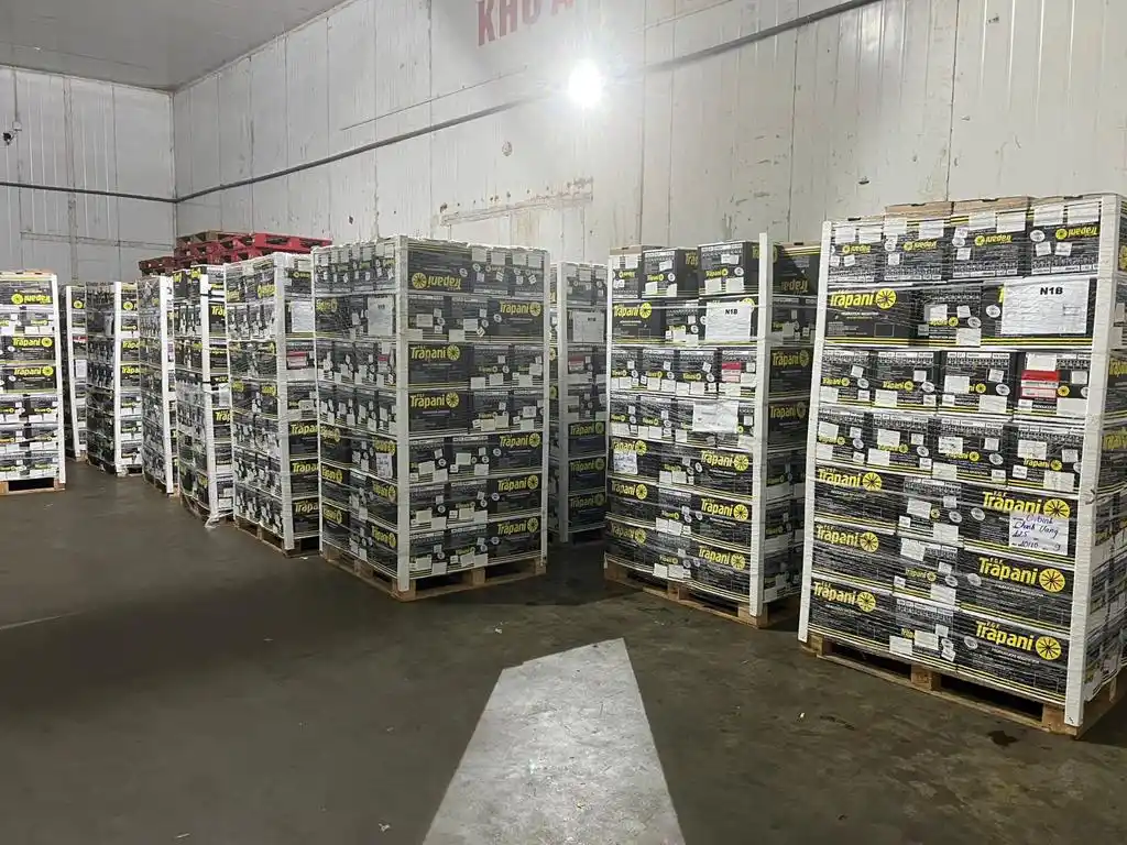 Productores celebran la llegada del limón tucumano a Vietnam: Estamos muy contentos con este logro