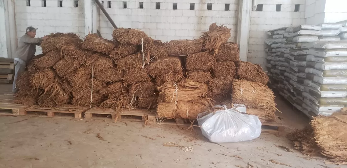 Secuestraron alrededor de 4.000 kilos de tabaco