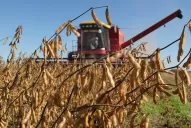 Temas de peso se abordarán en el IX° Congreso de Agronegocios