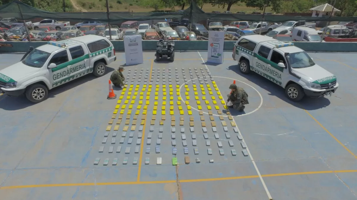 Una patrulla de Gendarmería encontró 290 kilos de cocaína entre la maleza