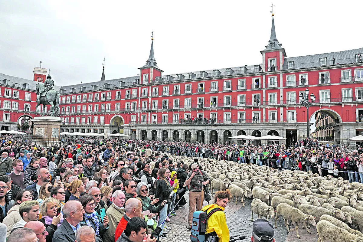 Las ovejas ocupan Madrid