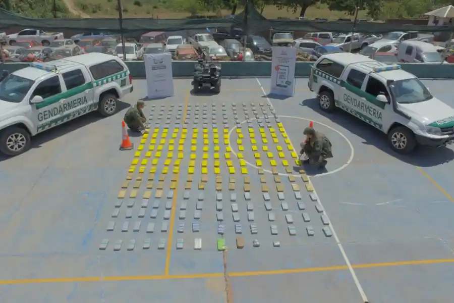 Una patrulla de Gendarmería encontró 290 kilos de cocaína entre la maleza
