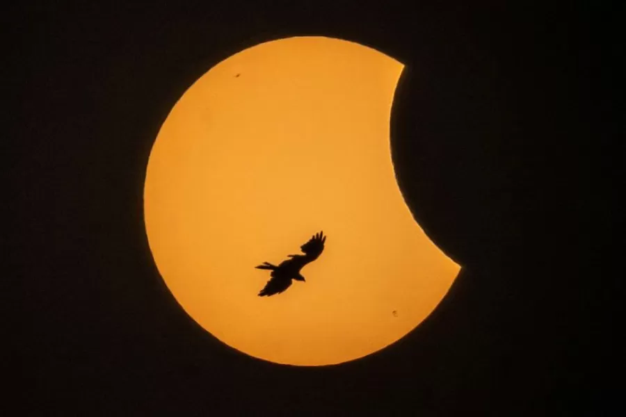 Todas las sorprendentes fotos del eclipse solar de octubre
