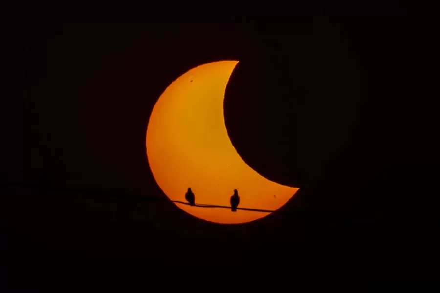Todas las sorprendentes fotos del eclipse solar de octubre