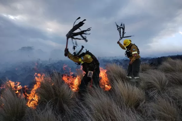 Incendio en Las Arquitas: los brigadistas lograron controlar el fuego