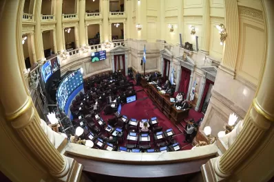 Senado: quedan suspendidos por 10 años los desalojos en barrios de emergencia