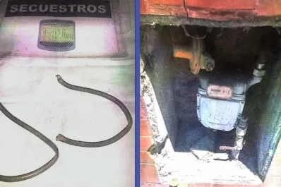 Robo de medidores: preventiva para dos imputados