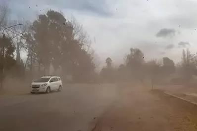 Alerta meteorológica: advierten fuertes vientos en Tucumán
