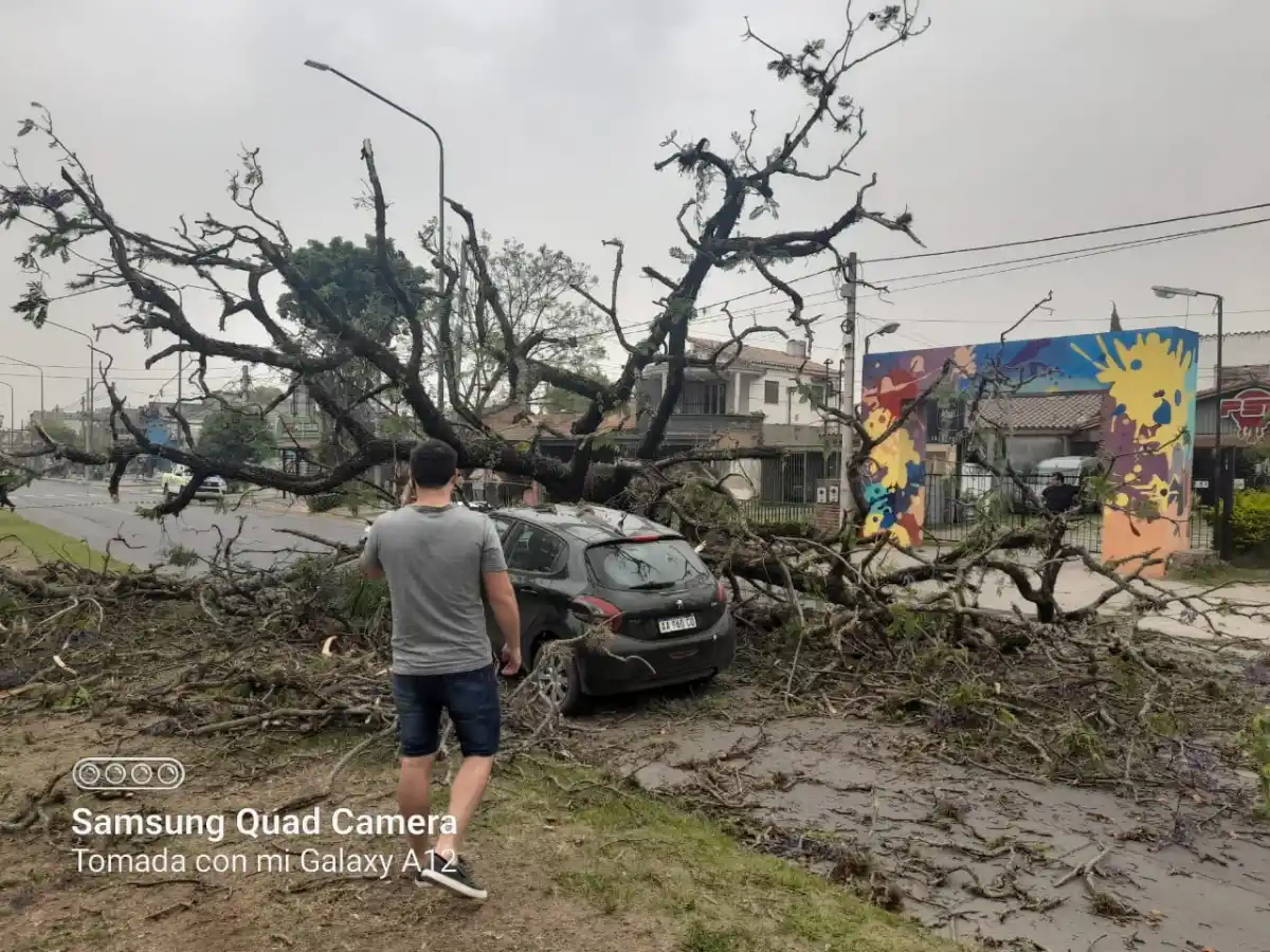 El viento causa estragos en distintos sectores de Tucumán