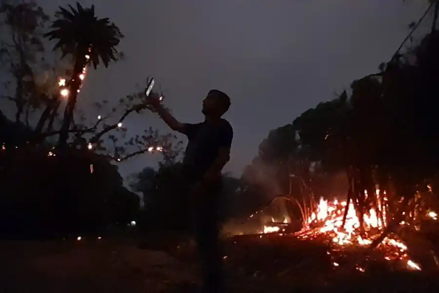 INCENDIO. Una zona de cañaverales se incendió en el parque Guillermina.