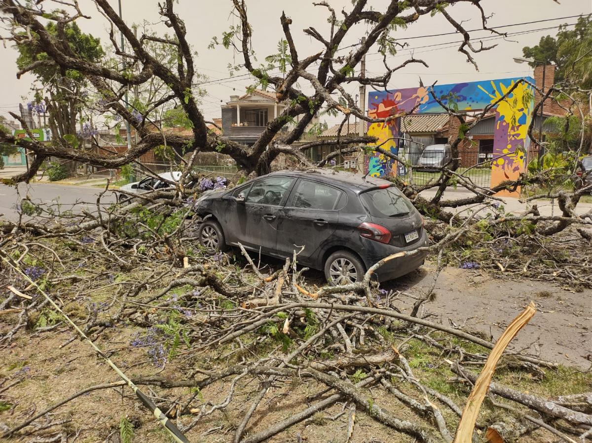 El viento causa estragos en distintos sectores de Tucumán