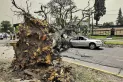 Vientos de hasta 70 km/h sorprendieron a Tucumán
