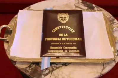 ¿Qué opinan ex convencionales constituyentes sobre el amparo que presentó Manzur?