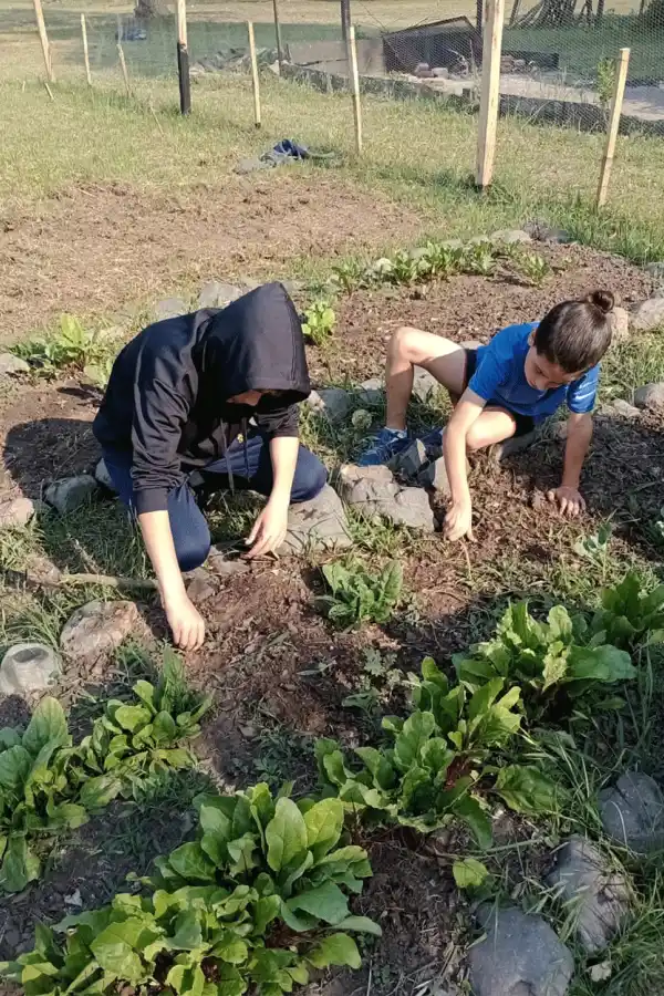 “Nueva Siembra”: un proyecto autogestionado que deja atrás la educación tradicional