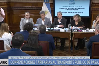 Senadores debaten proyectos sobre una nueva forma de distribuir subsidios al transporte