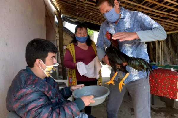 Riñas de gallos: ¿a unos pasos de volver a la legalidad?