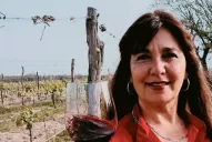 La producción vitivinícola en “estado de desastre”