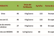 Buenas alternativas al uso de fertilizantes en la caña de azúcar