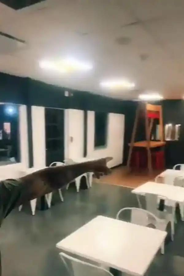 Revelaron en qué se convirtió la primera casa de Gran Hermano