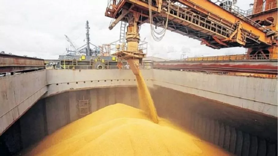 MEDIDA. El Gobierno busca que el clima no afecte la exportación de trigo.  