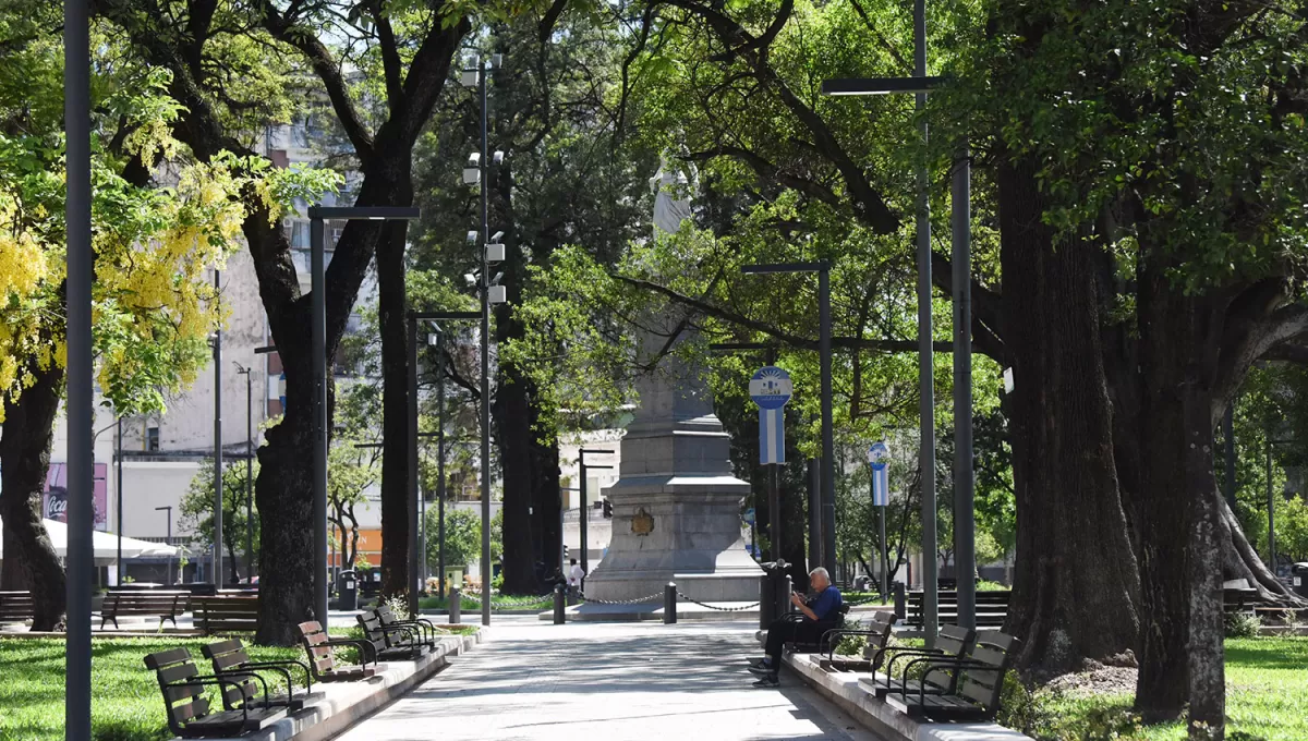 CALOR. Los árboles serán un buen refugio para los rayos del sol este domingo en Tucumán.