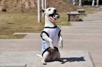 Trompatrompita, la perra tucumana que hace reír al mundo