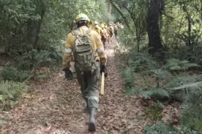 Después de cinco días, brigadistas lograron controlar los incendios en la reserva Santa Ana