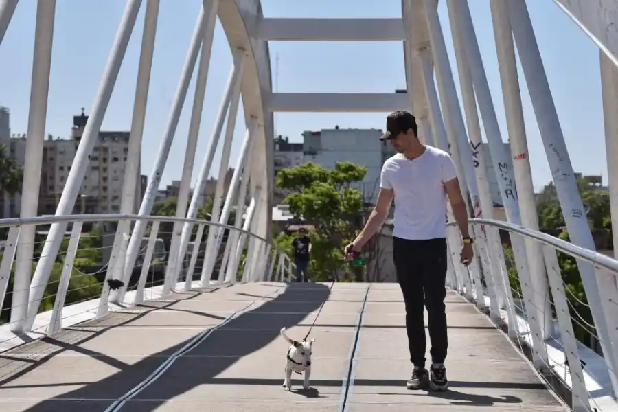 Trompatrompita, la perra tucumana que hace reír al mundo