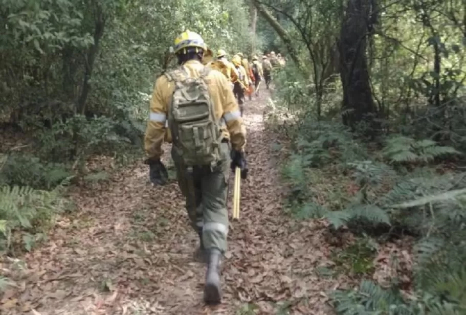 Un equipo de Bomberos, Brigadistas, Policías y Guardaparques trabajaron para controlar el incendio en la reserva Santa Ana.