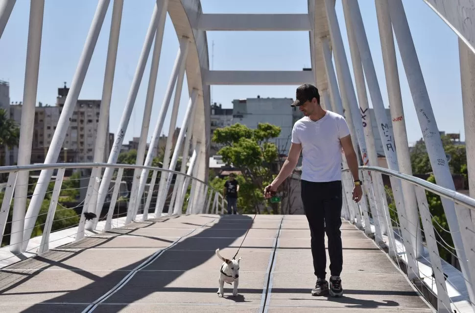 Trompatrompita, la perra tucumana que hace reír al mundo