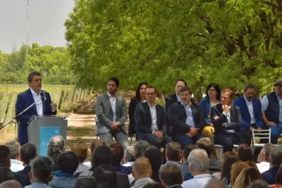 Cómo es el nuevo dólar especial para economías regionales