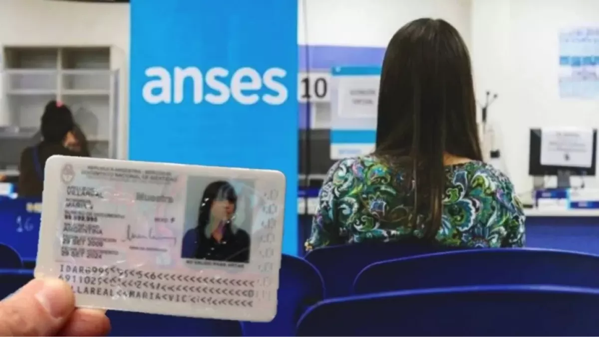 Anses: quiénes pueden acceder al DNI gratuito