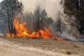 Arde el Norte de Salta: los incendios forestales generan alarma en la provincia