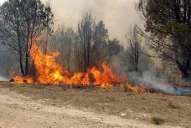 Arde el Norte de Salta: los incendios forestales generan alarma en la provincia